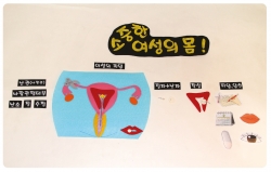 [학습교구] 탈부착식 여성 생식기 모형도