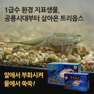 [과학교구] 긴꼬리 투구새우 사육세트(트리옵스)