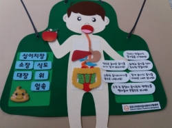 [과학교구] 소화 기관 앞치마
