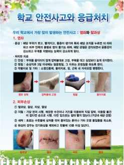 [보건판넬] 학교 안전사고와 응급처치 (옵션선택)