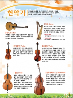 [환경판넬] 현악기 (옵션선택)