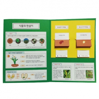 [만들기] 식물의 한살이 팝업북 만들기
