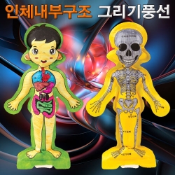 [과학교구] 인체 내부구조 그리기 풍선(인체골격과 내장기관)