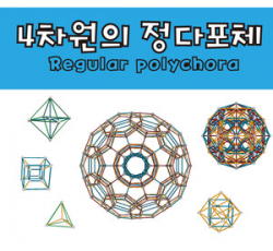 [학습교구] 조노돔-4차원의 다포체 세트