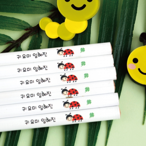 [학생선물] 무당벌레 네임 연필 화이트/6자루/2B