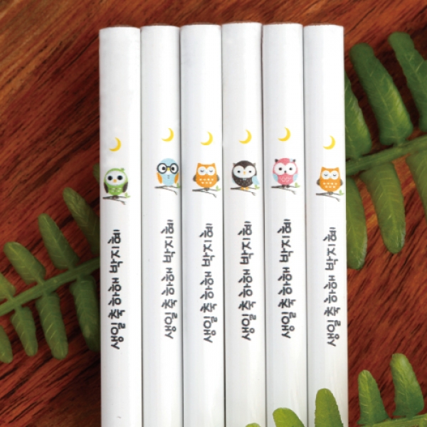[학생선물] 부엉이 네임 연필 화이트/6자루/2B