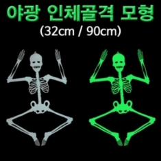 [과학교구] 야광 인체골격 모형(중형 32cm/대형 90cm)