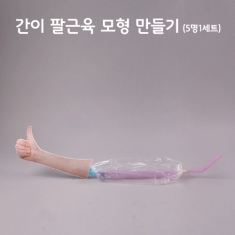 [과학교구] 간이 팔근육 모형 만들기(5명1세트)