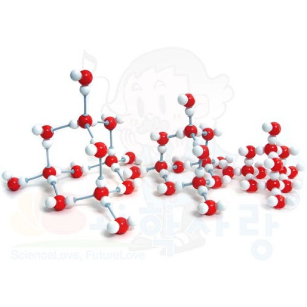 [학습교구] 물의삼태분자구조모형