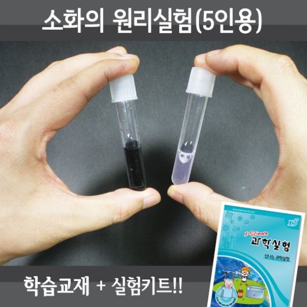 T셀파몰,[학습교구] 소화의 원리실험(5인세트)