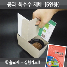 [과학교구] 콩과옥수수재배(5인세트)