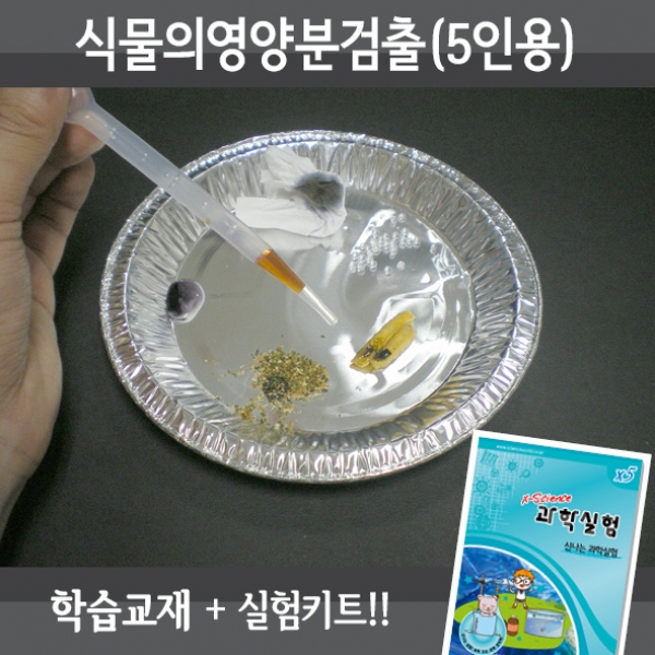 [과학교구] 식물의영양분검출(5인세트)