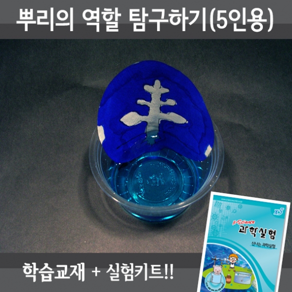 [학습교구] 뿌리의역할탐구하기(5인세트)