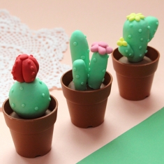[만들기] 선인장 클레이 비누 5set