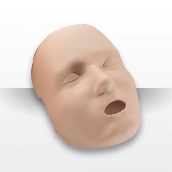 [명문의료기][학습교구] Face Skin(얼굴피부)