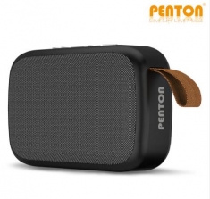 [디지털] PENTON 블루투스 스피커 T1