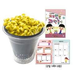 [만들기] 콩나물 키우기(관찰기록지포함)