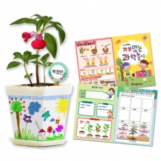 [만들기] 봉선화 화분 꾸며만들기-관찰기록지포함