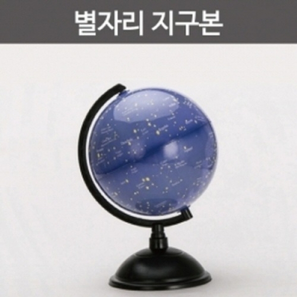 [과학교구] 별자리 지구본