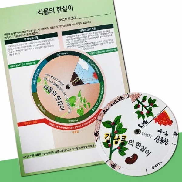 [과학교구] 식물의 한살이(5인)
