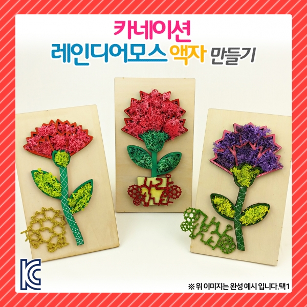 [만들기] 카네이션 레인디어모스 액자 만들기(옵션)