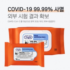 [보건용품] 하이지아 휴대용 손소독티슈 10매입