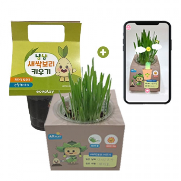 [학습교구] 친환경 새싹보리 키우기 (환경 스티커, AR 포함)