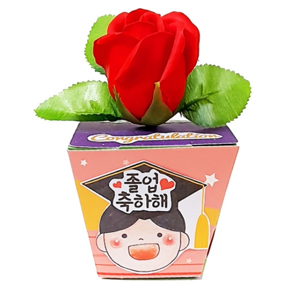 졸업 장미꽃 메세지 화분