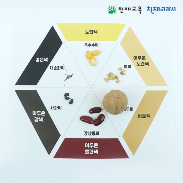 [천재Kit][3-1][4단원]여러가지 씨 관찰하기