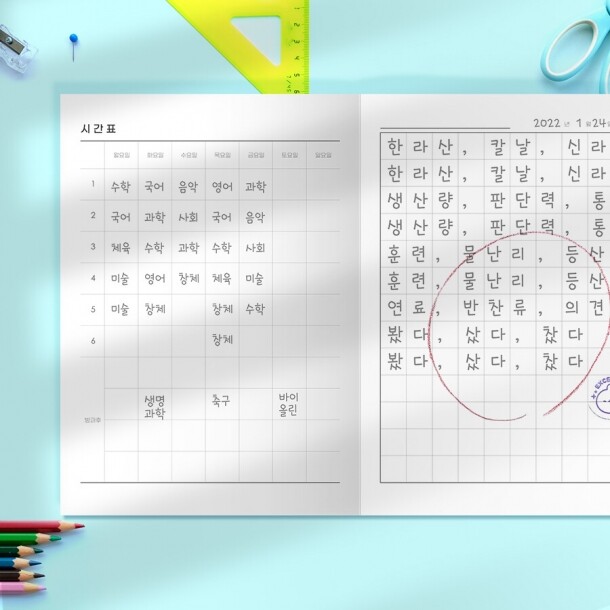 T셀파몰,건망증 더메모 초등 저학년 네모노트(10칸노트, 깍두기공책)