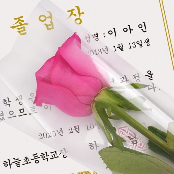 T셀파몰,파티콘스쿨 ( 장미 한송이 포장 ) 장미 생화 / 도착가능지역 확인