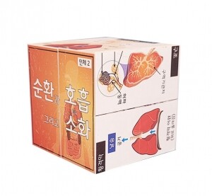 [에듀메이드] 인체/ 순환과 호흡, 소화 과정 매직큐브만들기/5인용