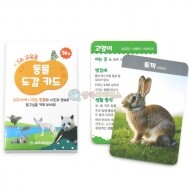 SA 교육용 동물 도감 카드 (36종)