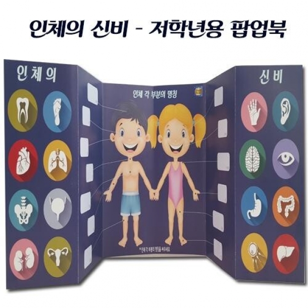 T셀파몰,[매직북스] 인체 저학년 스티커 북아트