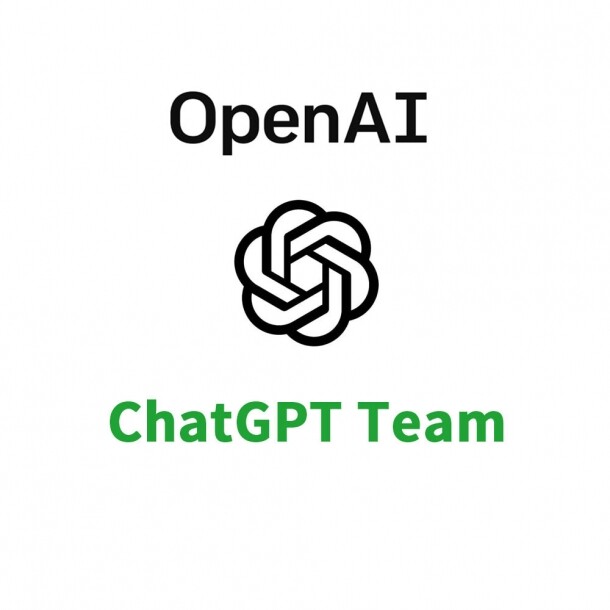 챗GPT 플러스 ChatGPT Team 유료 이용 라이센스