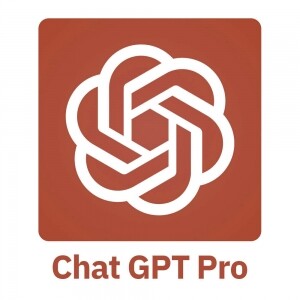 챗GPT 플러스 ChatGPT Pro 유료 이용 라이센스