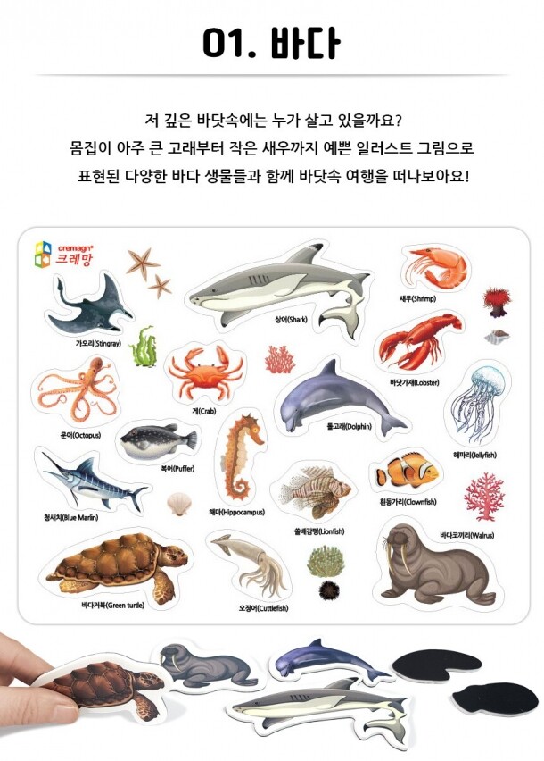 T셀파몰,그림자석 탈것 동물 채소 중장비 공룡