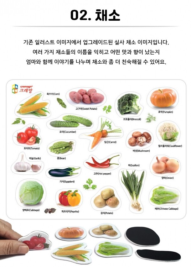 T셀파몰,그림자석 탈것 동물 채소 중장비 공룡